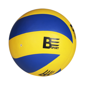 BES-Volleyball